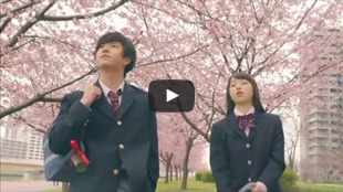 カラオケまねきねこ