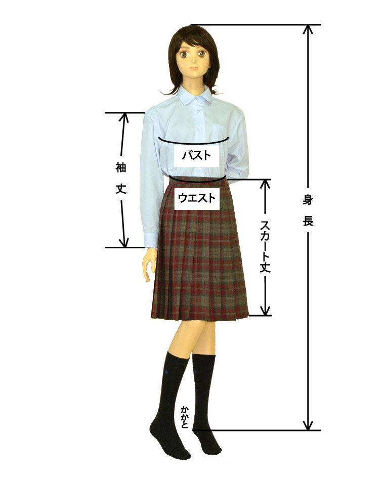 女子サイズの測り方