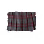 スカートアップ写真