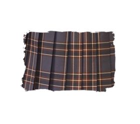 スカートアップ写真