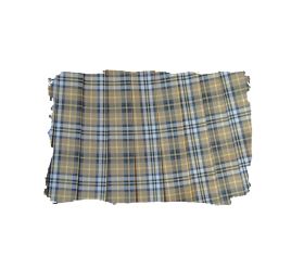 スカートアップ写真