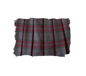 スカートアップ写真