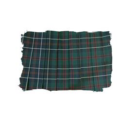 スカートアップ写真