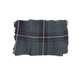 スカートアップ写真