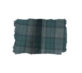 スカートアップ写真