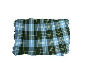 スカートアップ写真