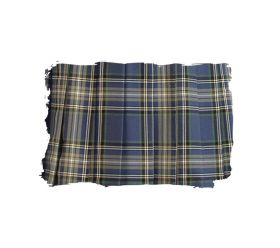 スカートアップ写真