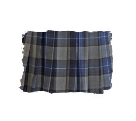 スカートアップ写真