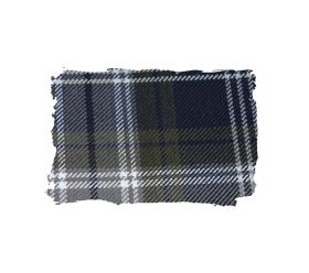 スカートアップ写真