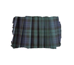 スカートアップ写真