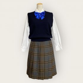 ★写真のブラウス・リボンは別 レンタルになります。